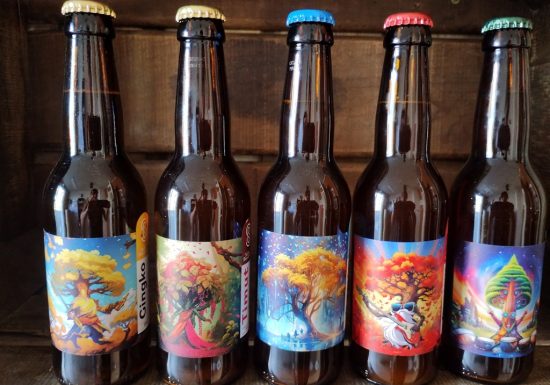 Balade en bateau et dégustation de bières artisanales avec Fer de Loire