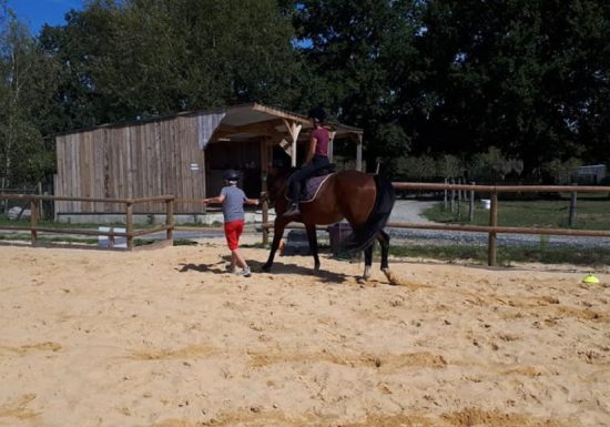 Stage les petits cavaliers en herbe (4 à 6 ans)