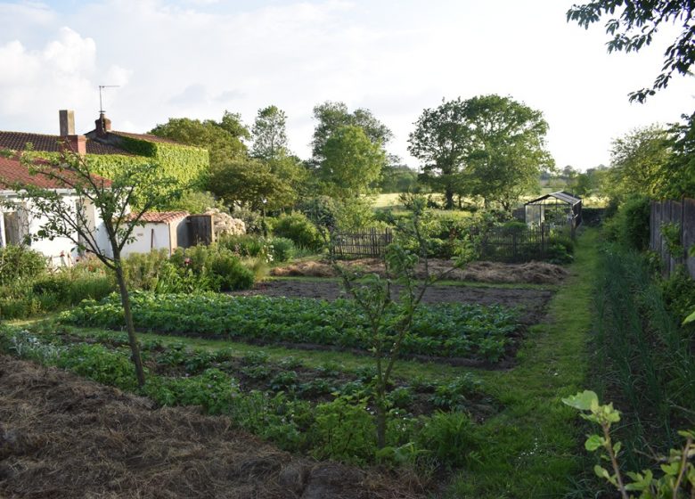 Bienvenue dans mon jardin au naturel : le jardin de Yoann