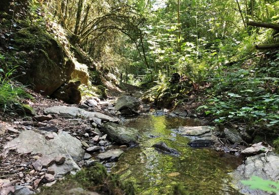 GR® de Pays au Fil de l’Evre et de l’Hyrôme