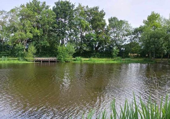 Aire de pique-nique de La Grand’Fosse