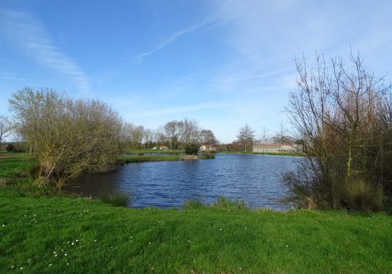 Aire de camping-car au Mesnil-en-Vallée