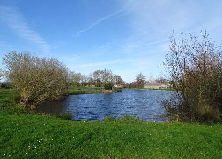 AIRE DE CAMPING-CAR AU MESNIL-EN-VALLÉE