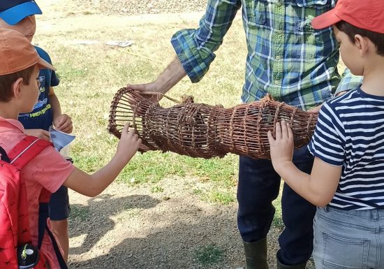 Animation nature 6/12ans à Cap Loire : Les poissons de Loire