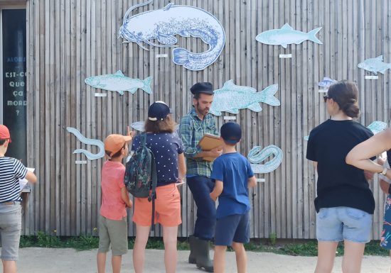 Animation nature 6/12ans à Cap Loire : Les poissons de Loire