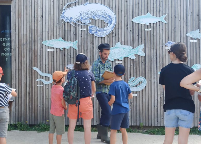 Animation nature 6/12ans à Cap Loire : Les poissons de Loire