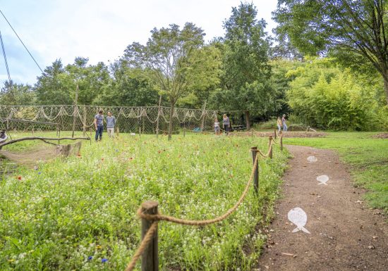 Animation nature 6/12ans à Cap Loire : Les poissons de Loire