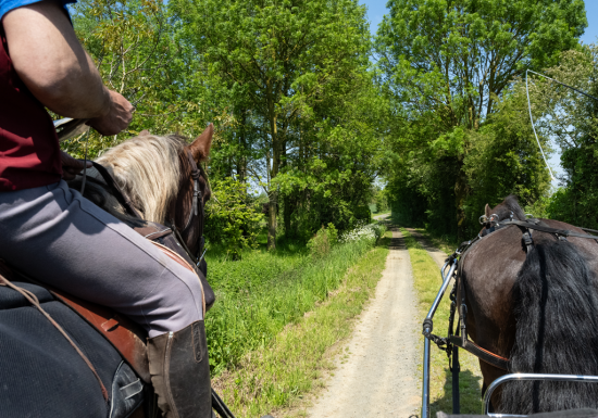 L’Étrier du Centaure