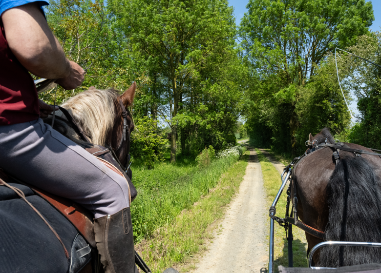Centre équestre de Melay