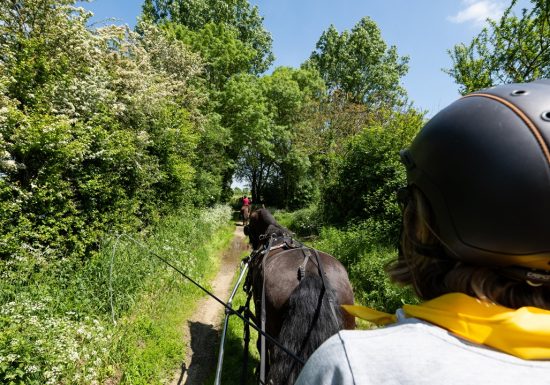 Écurie de l’Arche d’Avalon