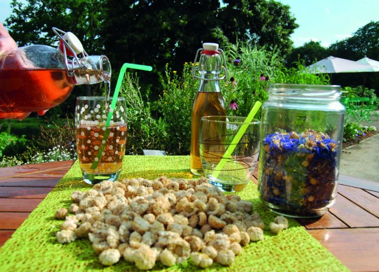 Immersion végétale au fil des saisons