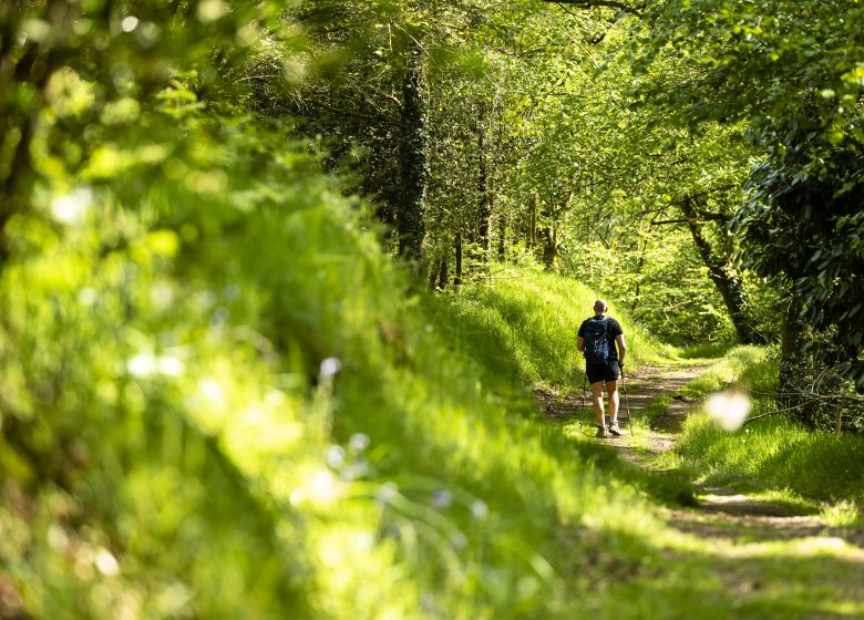 Sentier d’interprétation “Le Rocher du Manis” /!\ Fermé temporairement