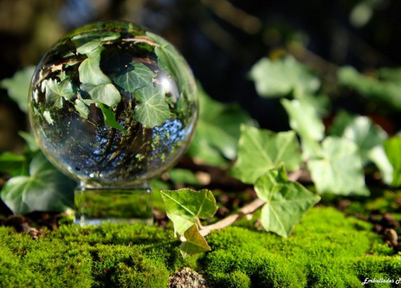 Balade photographique “Spécial lensball” dans le parc de Beaupreau