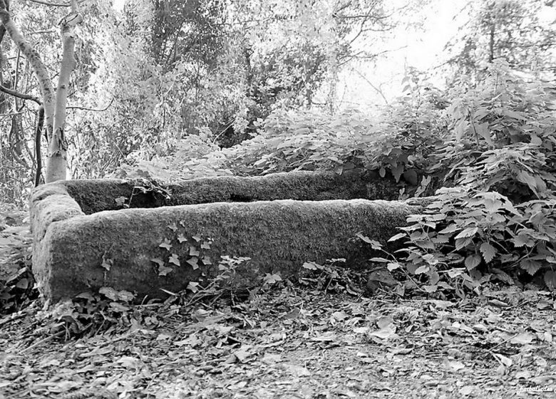 Balade photographique “Spécial noir et blanc” dans le parc de Beaupreau, avec Sylvie de EMBALLADES PHOTO