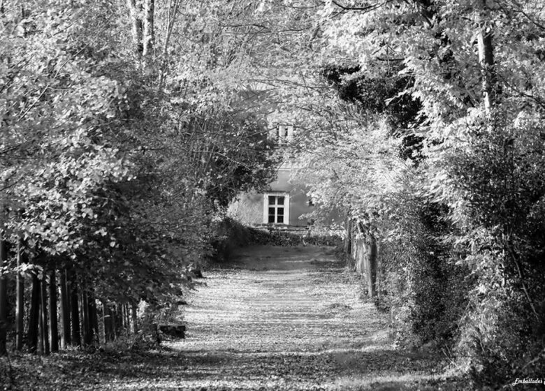 Balade photographique “Spécial noir et blanc” dans le parc de Beaupréau