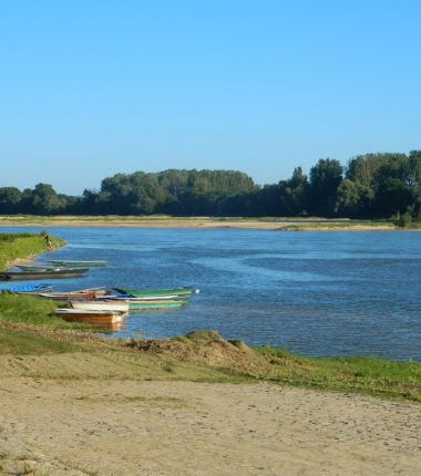 La Boire Torse – Vair-sur-Loire > Ingrandes-le-Fresne-sur-Loire