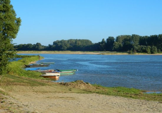 La Boire Torse – Vair-sur-Loire > Ingrandes-le-Fresne-sur-Loire