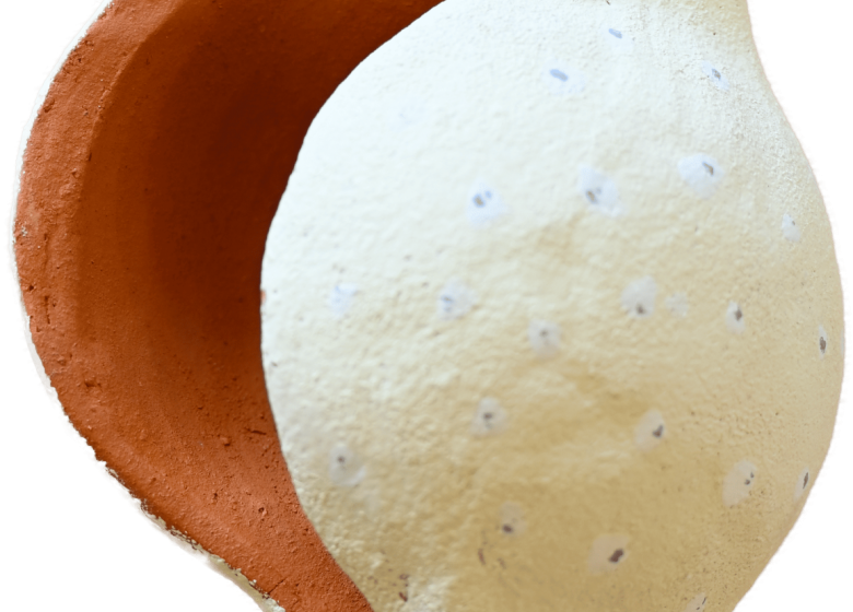 POTERIE | Atelier +8 ans “La boite citron”