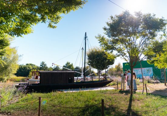 Animation nature 6/12ans à Cap Loire : Les poissons de Loire