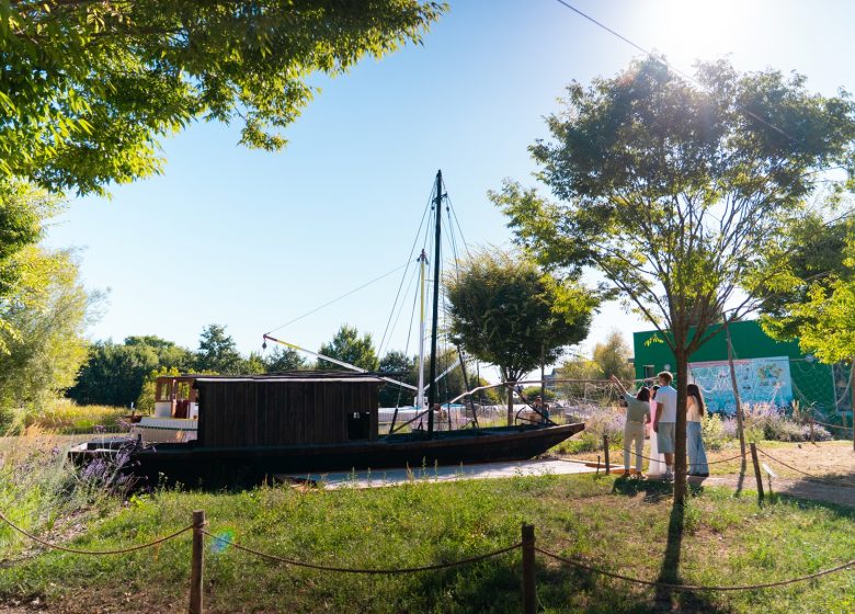 Animation nature 6/12ans à Cap Loire : Les poissons de Loire