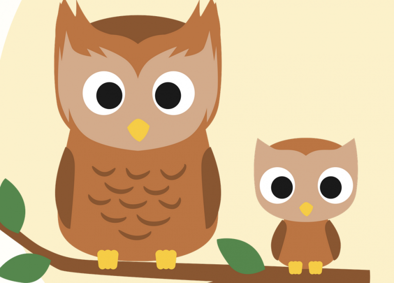 Les Chouettes parenthèses : malle au trésor