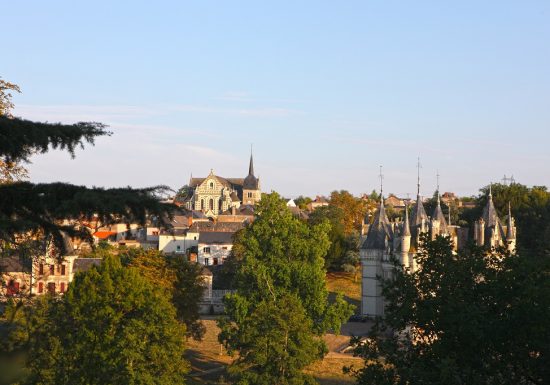 LES COTEAUX DE CHANZEAUX