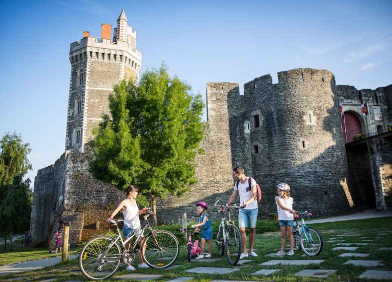 La Loire à Vélo, de Champtoceaux à Mauves-sur-Loire