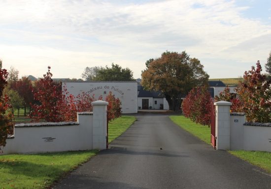 Aire de camping Château de Putille
