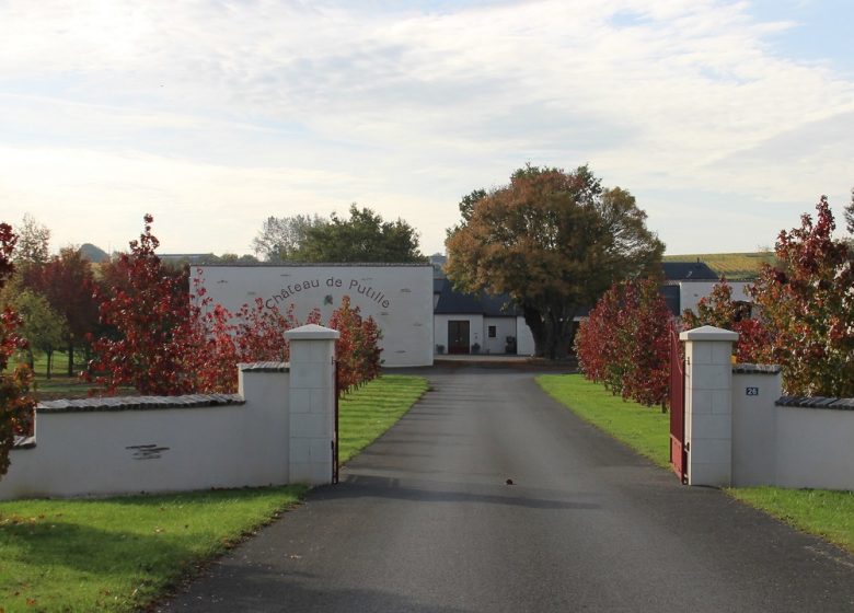 Aire de camping Château de Putille
