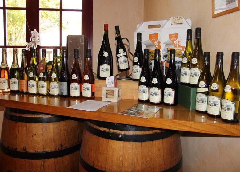 Aire de camping Château de Putille