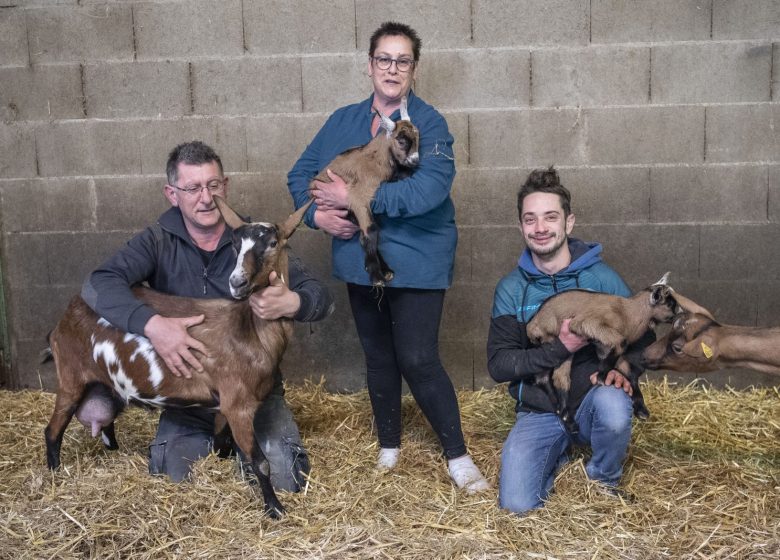 Chevrette des Mauges, fromage de chèvre fermier