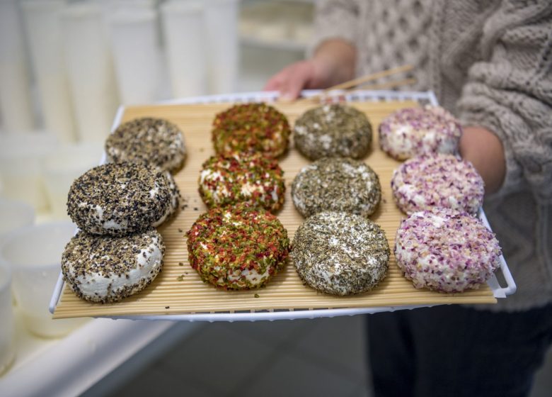 Chevrette des Mauges, fromage de chèvre fermier