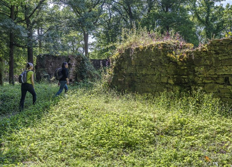 Vestiges de la Citadelle de Champtoceaux