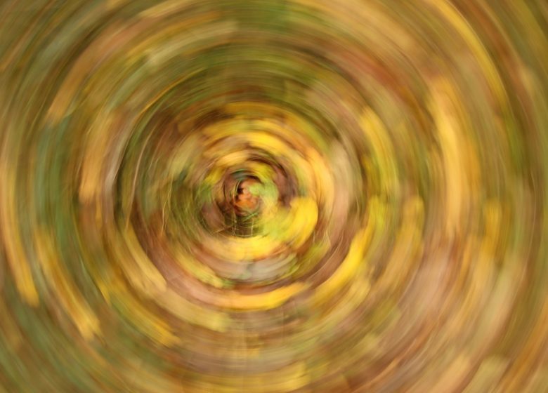 Balade photographique “Spécial lensball” dans le parc de Beaupreau