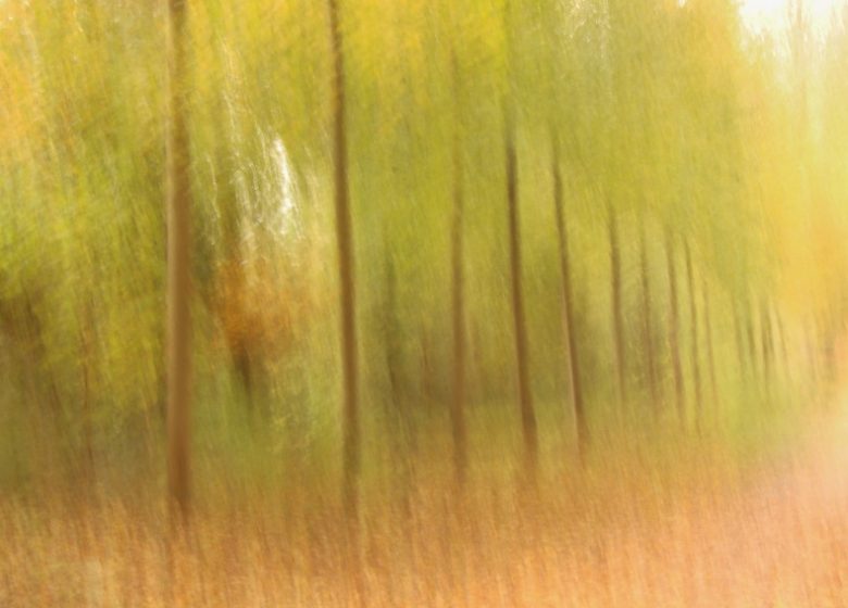 Balade photographique “Spécial lensball” dans le parc de Beaupreau