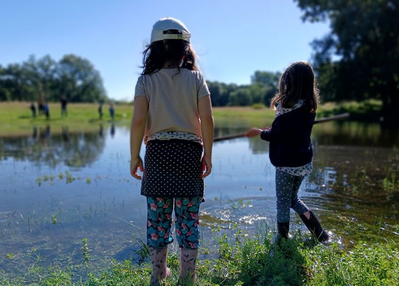 RDV Nature en Anjou  : Découverte de la faune