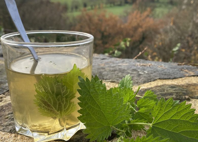 Rendez-Vous Nature en Anjou  : L’art des tisanes
