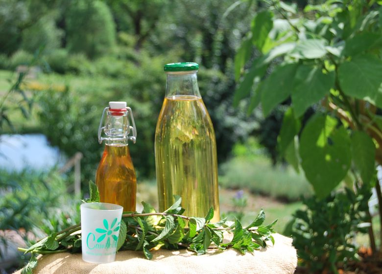 Atelier breuvage botanique au Jardin Camifolia