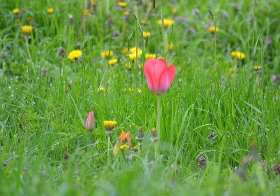 Randonnée “La croix Bourreau, la Brosse et l’Aunay Gontard”