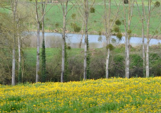 Randonnée “La croix Bourreau, la Brosse et l’Aunay Gontard”