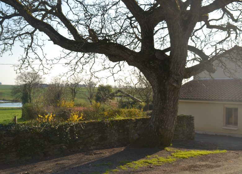 Gîte le Mottay
