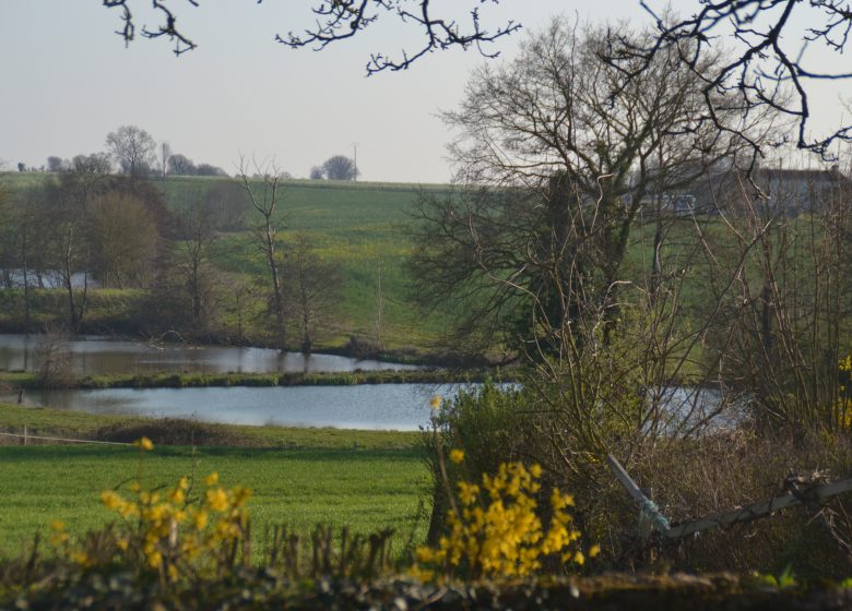 Gîte le Mottay