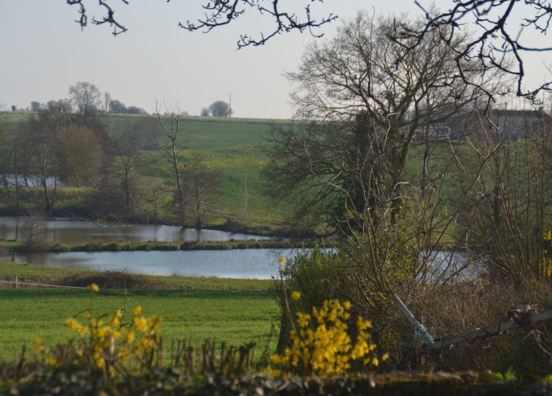 GÎTE LE MOTTAY