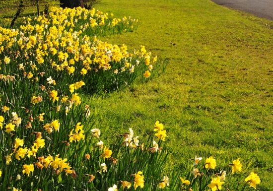 Saint-Macaire-en-Mauges