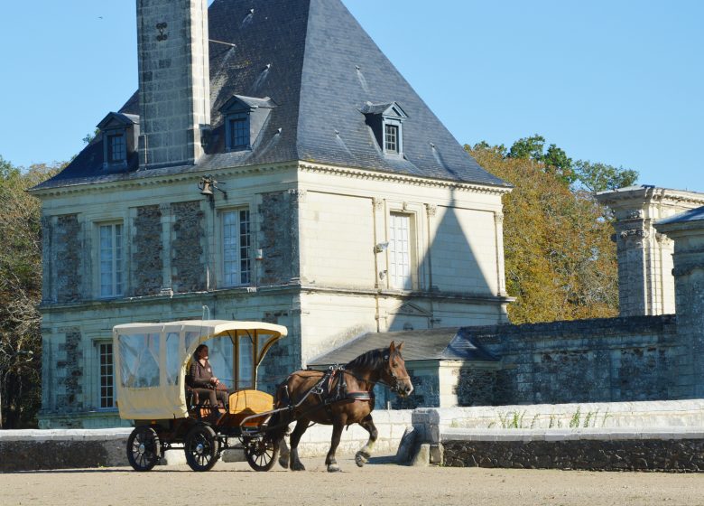 Balades à cheval, poney ou en calèche dans la vallée de la Loire et les côteaux avec l’assoication A quatre temps