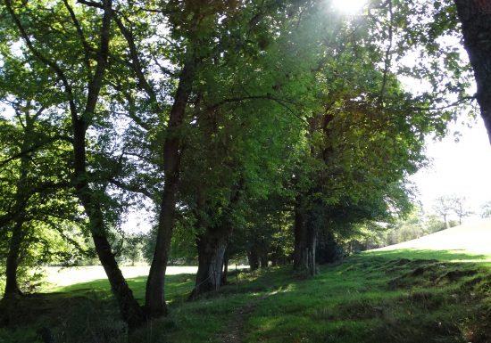 L’Hyrôme et ses anciens moulins