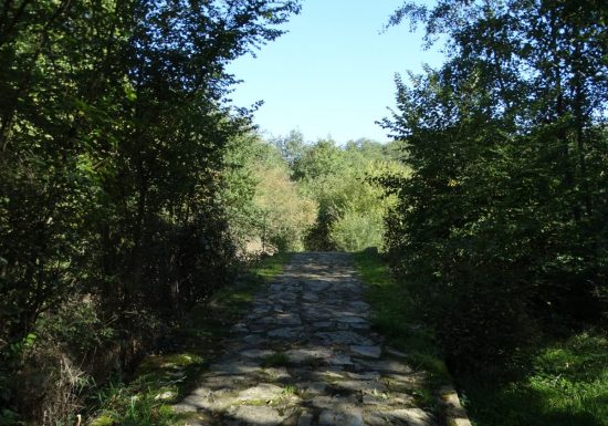 BOUCLE DE SAINT-AMBROISE À CHANZEAUX