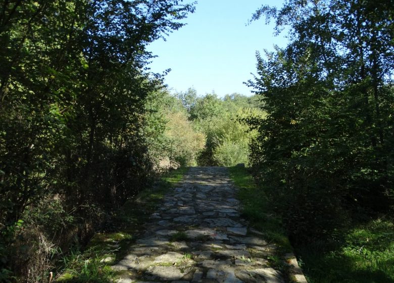 Randonnée “De Saint-Ambroise à Chanzeaux”