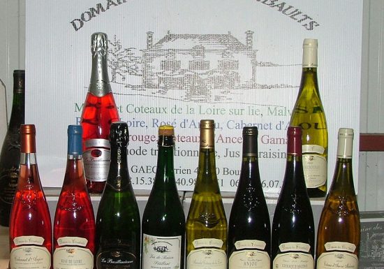 Domaine des Clérambaults – EARL Terrien