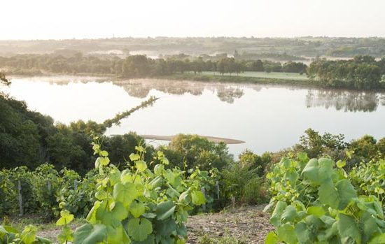 Domaine des Génaudières